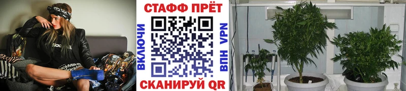 Магазины продажи наркотиков Николаевск-на-Амуре APVP  Cocaine  Гашиш  Меф  Марихуана 