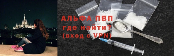 индика Алексин
