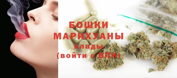 соль ск Новозыбков