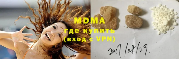 индика Алексин