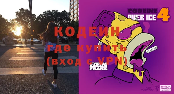 индика Алексин
