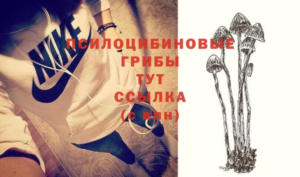 тгк Алексеевка