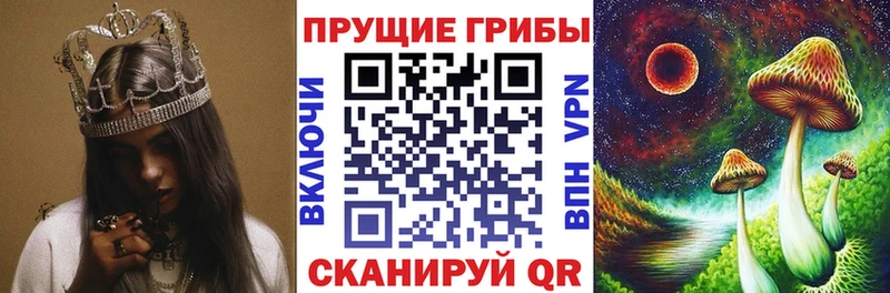 ОМГ ОМГ ТОР  Николаевск-на-Амуре  Галлюциногенные грибы MAGIC MUSHROOMS 